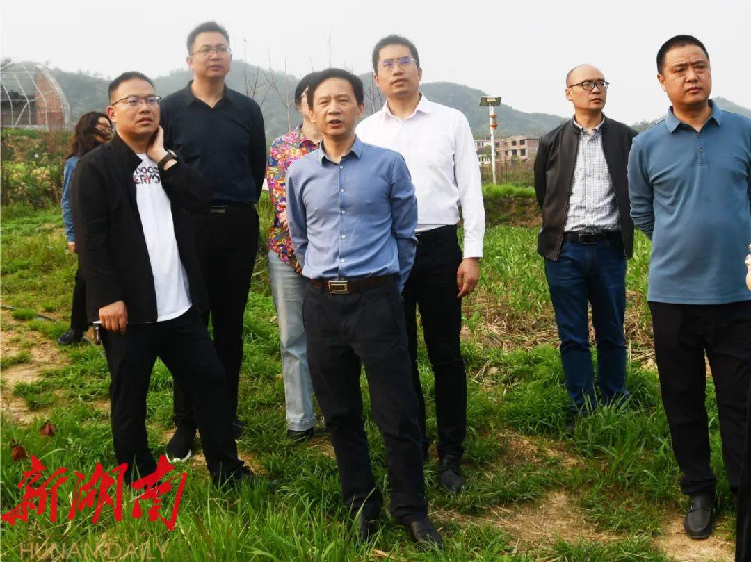 省中医药管理局调研新邵中医药事业产业发展_邵阳头条网